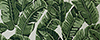 Sunbrella Tropics Jungle